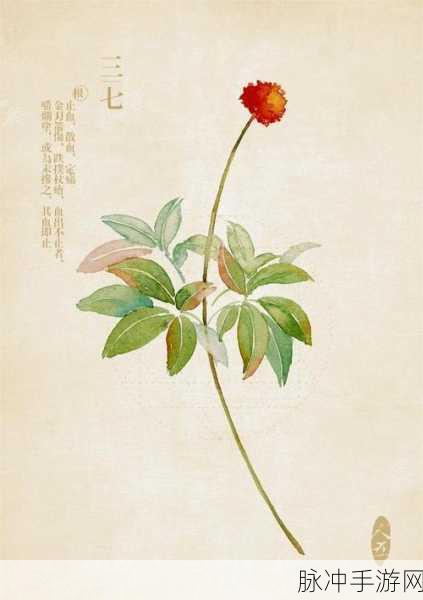 三七大但人文艺术免费任：探索三七大文化艺术的魅力与免费活动新视界