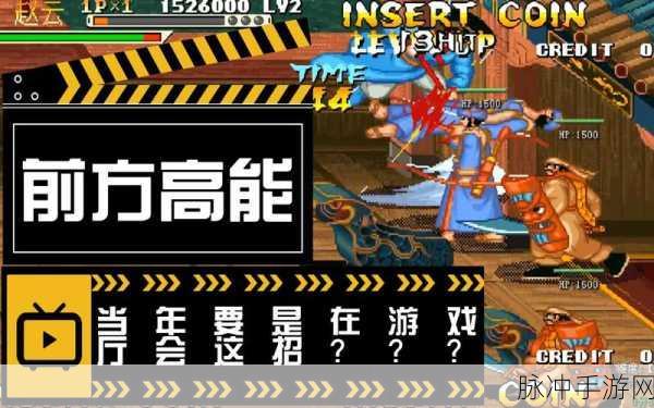 手游攻略,三国战纪赵云大招详解与实战技巧