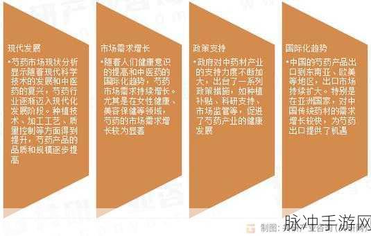 17czzz：探索17czzz的独特魅力与潜在发展方向分析