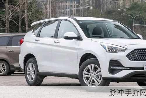 国产自产c13区：推动国产自产C13区的发展，实现自主创新与产业升级。