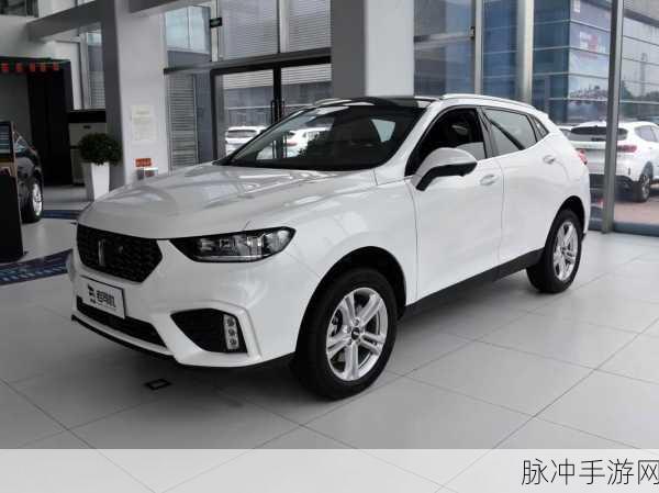 weyvv5国产成人精品的视频：探索Weyv V5：国产成人精品视频的新视角与体验