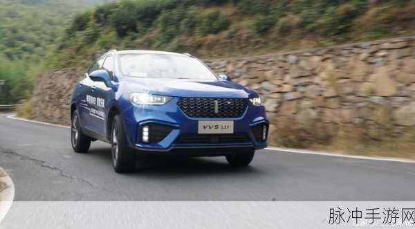 weyvv5国产成人精品的视频：探索Weyv V5：国产成人精品视频的新视角与体验