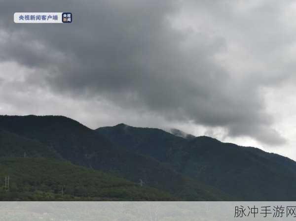 yw198龙物失联:yw198龙物失联事件引发的广泛关注与讨论