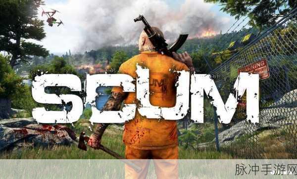 scum9.5版本代码：SCUM 9.5版本代码优化与新功能扩展指南