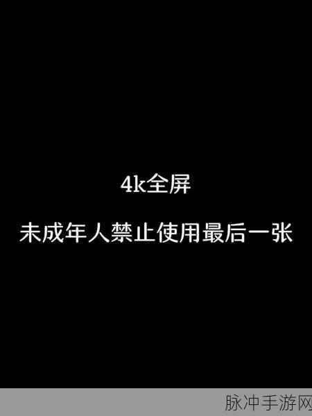 18岁禁止进入下载：“未成年人限制访问：18岁以下用户无法下载的原因与影响”