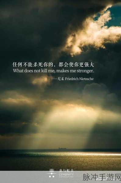 x7x7x7任意噪108暗夜：神秘夜幕下的108个噪音与暗影探寻之旅