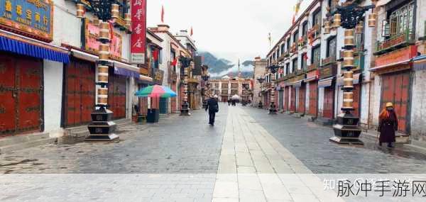 x7x7x7任意噪108暗夜：神秘夜幕下的108个噪音与暗影探寻之旅