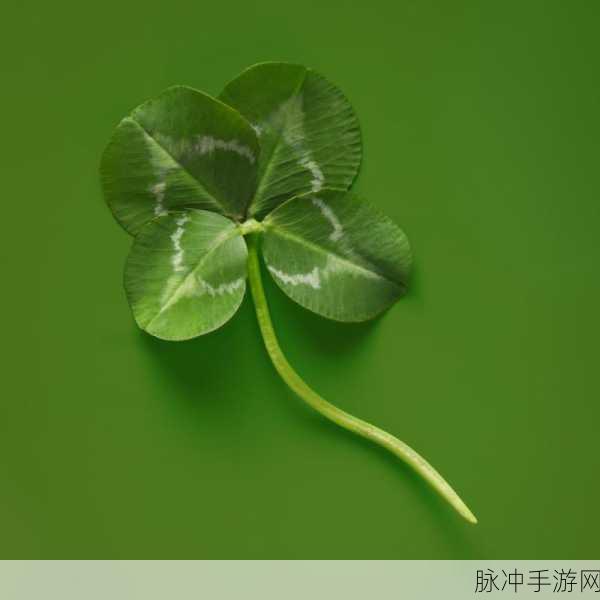 四叶草m码和欧洲码的888区别：四叶草鞋款M码与欧洲码888的详细区别分析