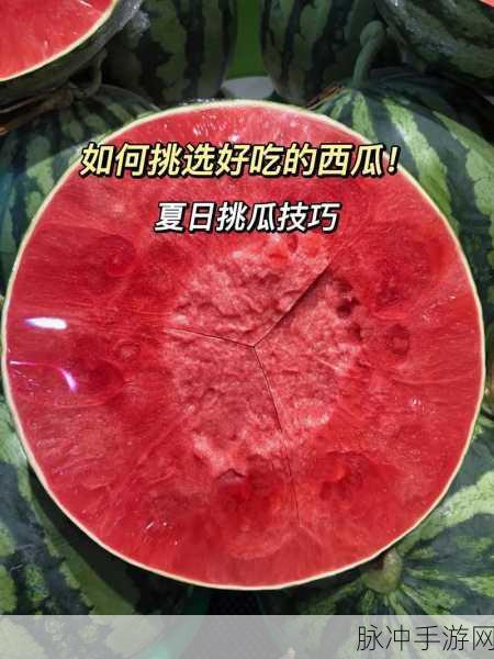 51热门大瓜今日大瓜必看：今日必看！51热门大瓜汇总，精彩轰动一览无遗