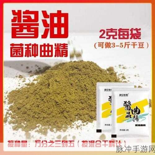 两个男生做酿酿酱酱：两个男生的酿酒冒险：友情与美味的奇妙交融