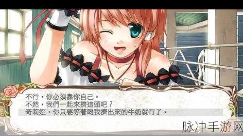 兰岛物语2：兰岛物语2：探索神秘海域与传说中的奇遇