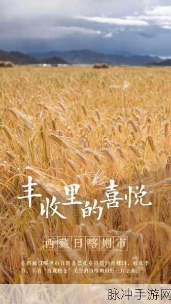 青裸直播：全新体验：青裸直播带你探索青春与自由的无限可能