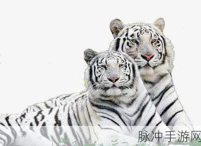 大白腚白虎B：探秘大白腚白虎B：揭秘其独特魅力与生态价值