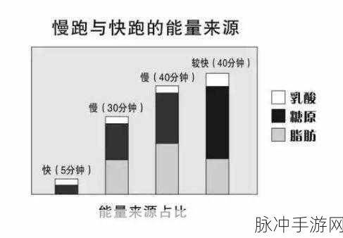 人马配速45分钟是好事还是恶性：“拓展人马配速45分钟的影响：机遇还是挑战？”