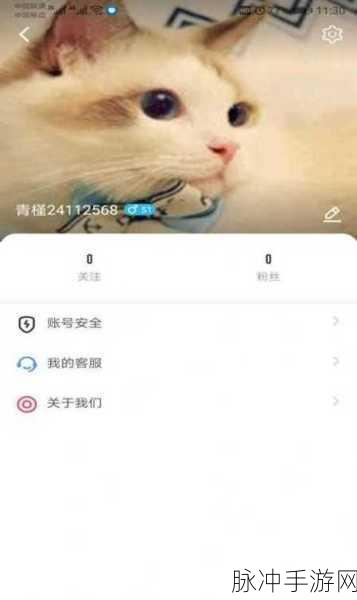 huluwa葫芦里不买药千万你需要：葫芦娃奇谈：千万别在葫芦里买药的秘密