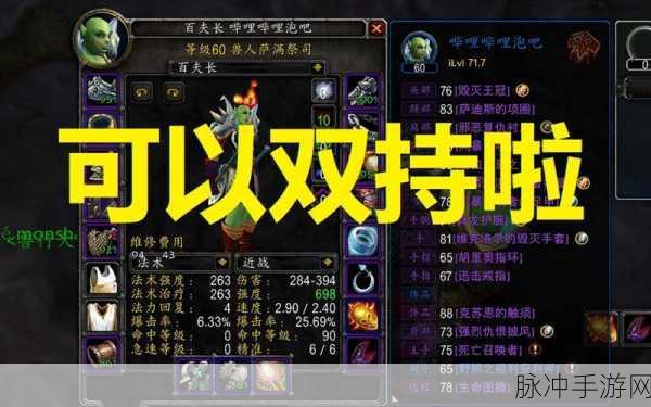 wlk增强萨属性优先级：优化WLK增强萨的属性优先级指南与策略分析