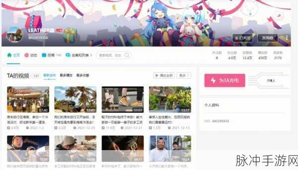 夜里十大b站：夜晚不无聊，B站十大精彩视频推荐合集！