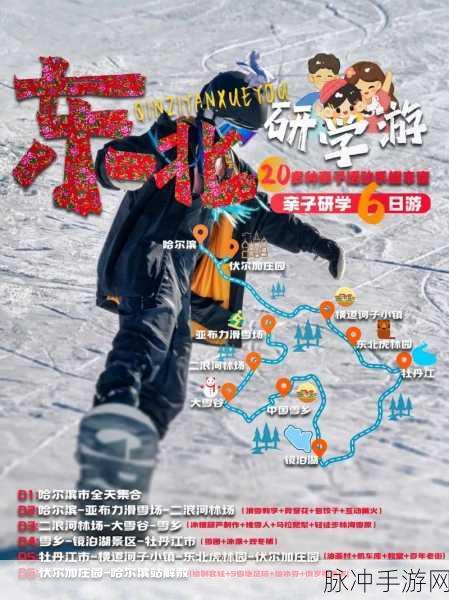 魔珠梦幻成长录，深度攻略与成长指南