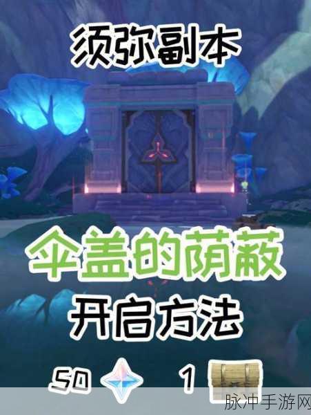 原神须弥伞盖的荫蔽解锁全攻略