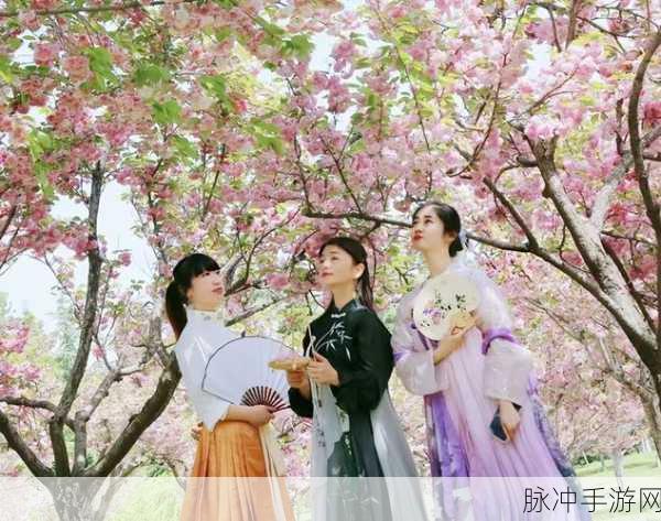 两个人免费看的www视频百花视频:两位好友共享精彩体验,尽享www视频百花盛宴!