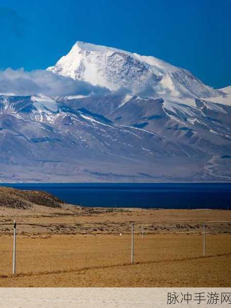 神秘通道三秒自动跳转:神秘通道开启三秒后自动转向全新冒险旅程
