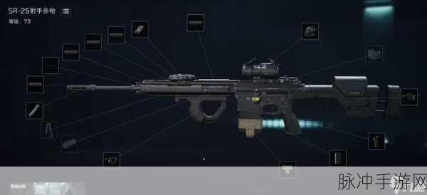 三角洲行动SR25改装攻略，全面战场制霸