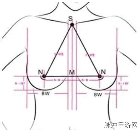 日本丰满BWBWBW:日本的丰满美学:探索BWBWBW背后的文化魅力与风情
