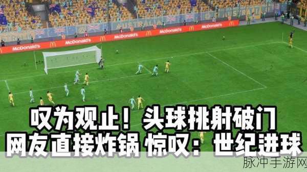 17.c-起草+国卢:“拓展17.c-起草:国卢的未来发展与战略规划探讨”