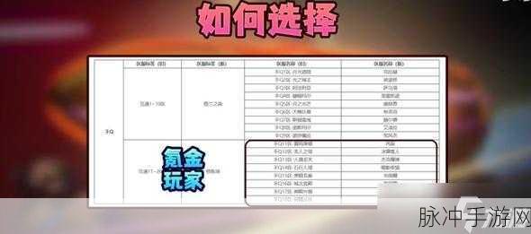 DNF手游攻略,深度解析工会作用与副本刷取策略