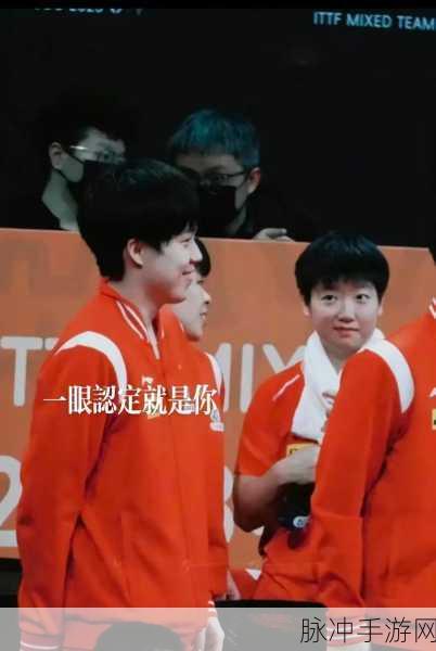 王楚钦香港澳门行不再和孙颖莎好了:王楚钦香港澳门之行,独自踏上新征程,不再与孙颖莎同行