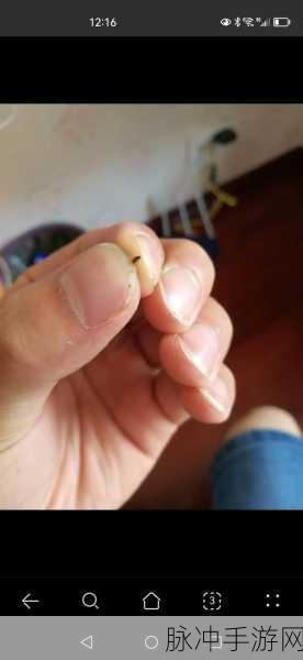 动物胶配方大全高清：全面解析动物胶配方大全及其应用指南