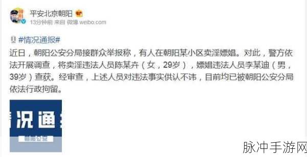 51吃瓜热心的朝阳群众年度汇总：“热心朝阳群众：2023年度吃瓜事件精彩盘点与反思”