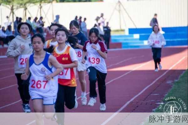 超级凌乱的校园运动会：“热血沸腾的校园运动会：青春与友谊的碰撞”