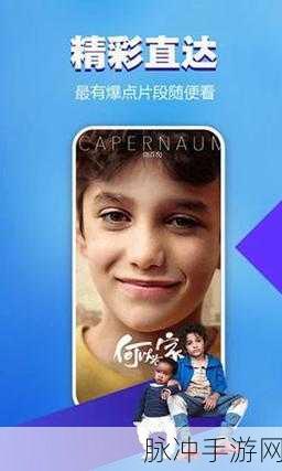 中国十大禁用软件免费：中国十大禁用软件详细解析与替代方案推荐