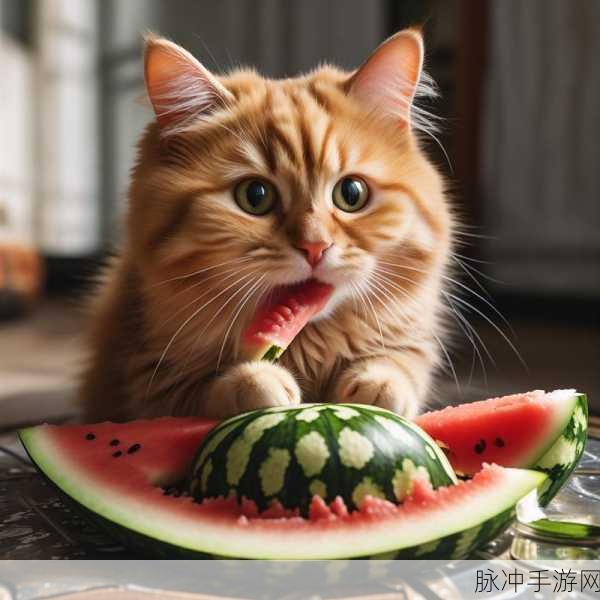 51暗网吃瓜：揭秘51暗网背后的秘密，吃瓜群众不容错过！