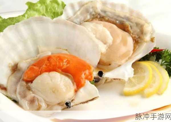 一人 上面 下感扇贝的文章：探索扇贝的生长环境与生态特性：一场海洋之旅