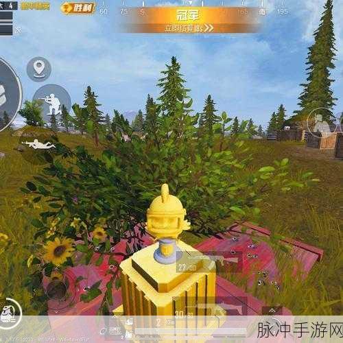 直播吃鸡图片高清：高清畅享直播吃鸡盛宴，尽在指尖掌控瞬间！