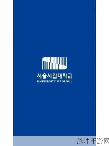 ACCA少女网课视频2023,韩国：2023年ACCA少女网课视频：韩国留学与职业发展的完美结合