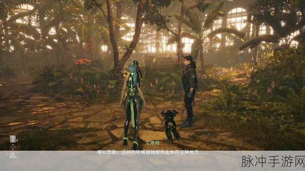 剑星最新消息：拓展剑星最新动态：探索新技术与市场前景解析