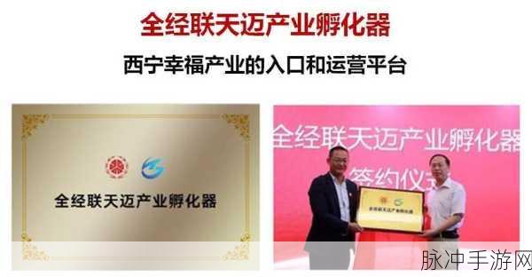 999精产国品一二三产区：拓展999精产国品一二三产业区的战略与创新路径