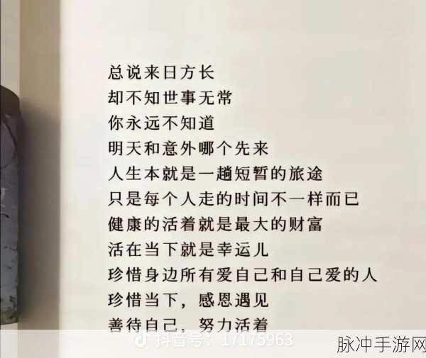 及时行乐1v2：乐享当下：及时行乐与珍惜人生每一刻的思考