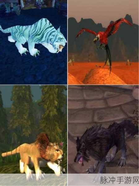 怀旧服猎人宝宝技能：怀旧服猎人宠物技能全面解析与实用技巧分享