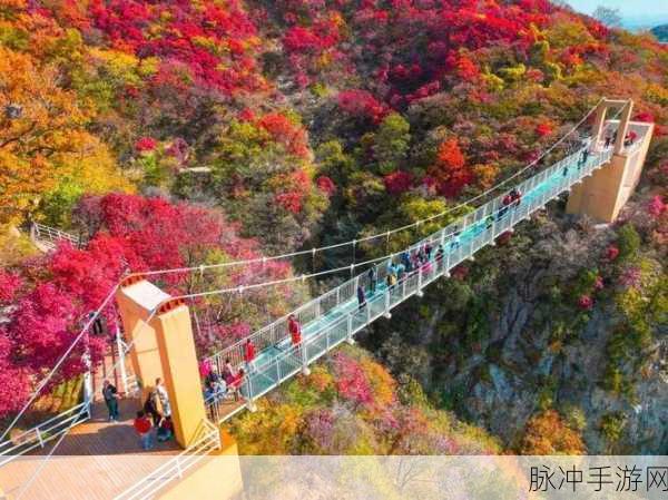 亚洲精品第一：探索全新的巅峰体验，尽在亚洲精品第一之旅！