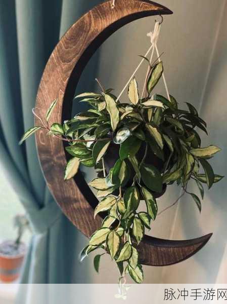 幼儿hiphop仙踪林的：幼儿HipHop仙踪林：舞动童趣，探索无限可能的世界