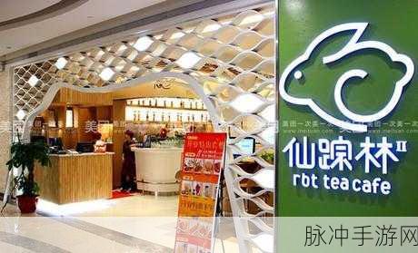 幼儿hiphop仙踪林的：幼儿HipHop仙踪林：舞动童趣，探索无限可能的世界