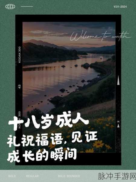 18成人网：探索成人领域的无限可能，满足您的好奇与需求