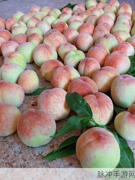 坤坤抽进桃子：坤坤与桃子的甜蜜邂逅：探索水果的奇妙世界