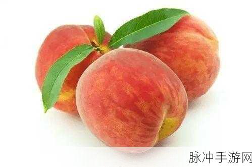 坤坤抽进桃子：坤坤与桃子的甜蜜邂逅：探索水果的奇妙世界