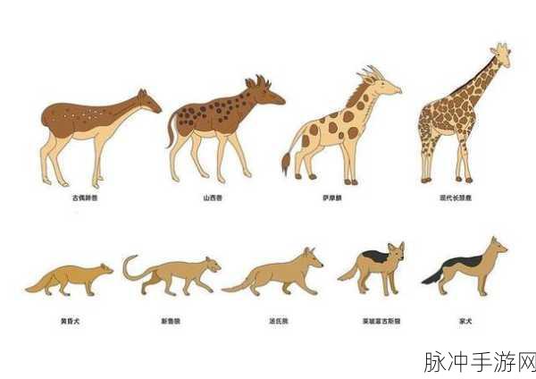 八重神子ゃんの球棒的起源：八重神子的球棒起源揭秘：从神话到现代的演变之路