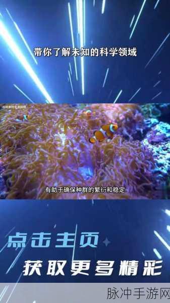 78m78隐藏通道3：探索78m78隐藏通道3：揭秘神秘路线与未知宝藏